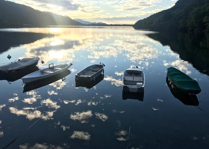 Cosy Little Apartment